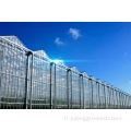 Greenhouse hydroponique en verre de haute technologie à vendre
